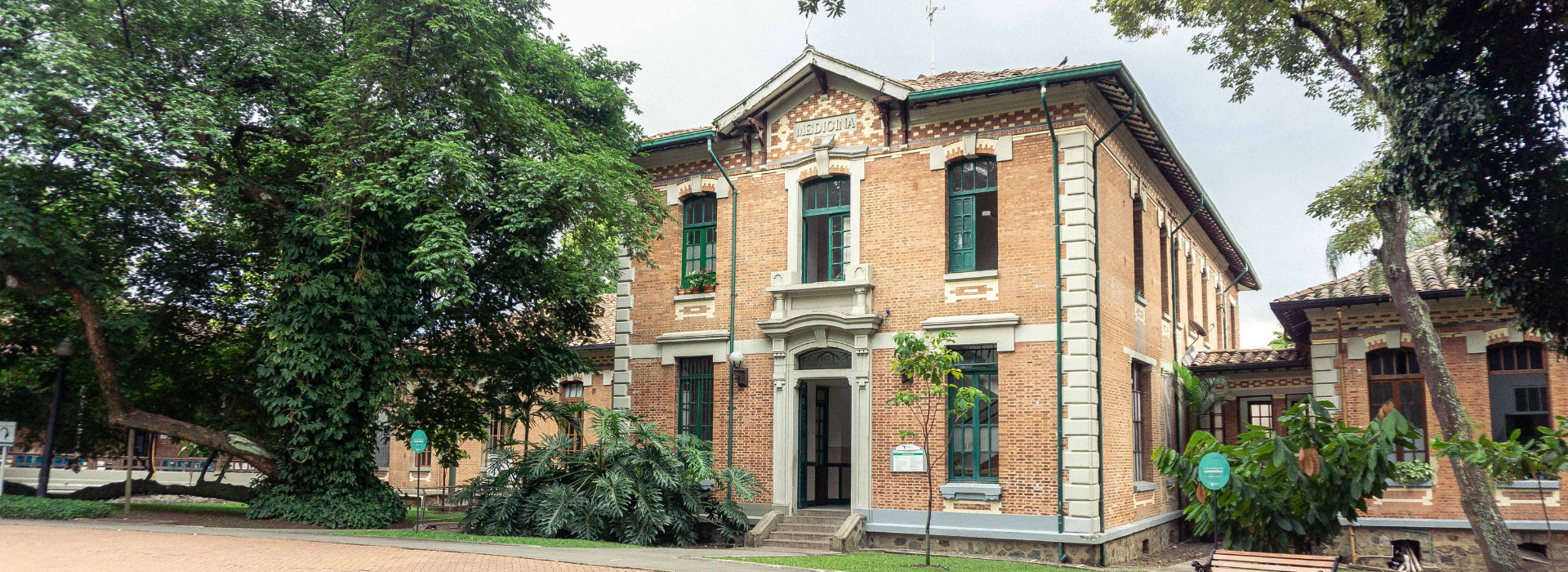 Urgencias Adultos