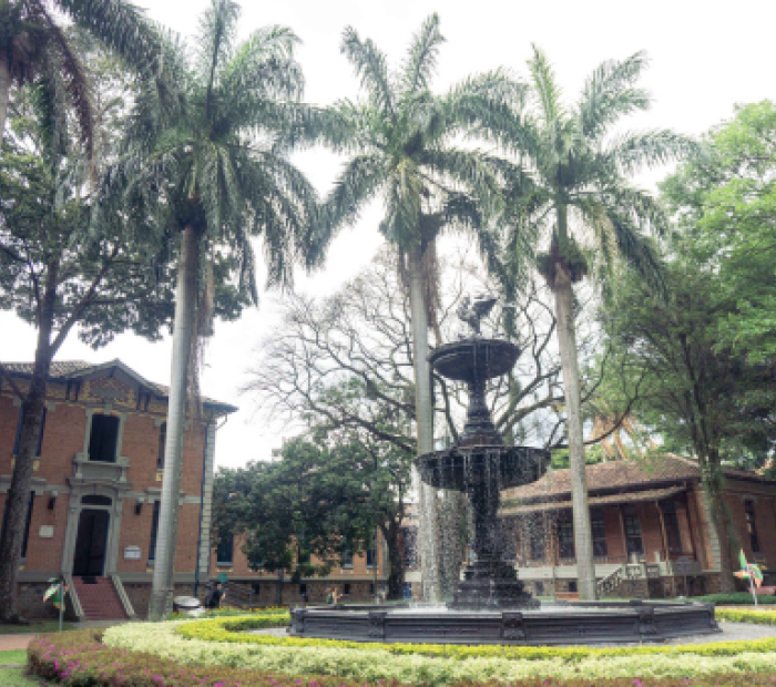 Hospital San Vicente Medellín